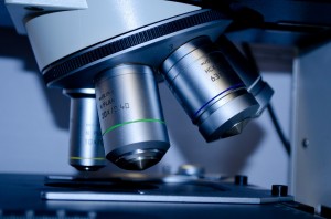 7th Multiple Sclerosis Research Day