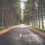 A long journey called multiple sclerosis A long journey called multiple sclerosis