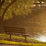 Pace your life Pace your life