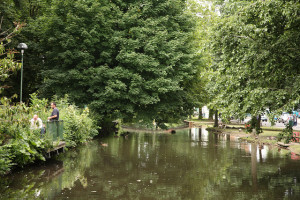 Hemel Hempstead Water Gardens