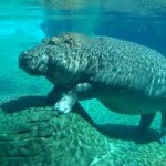 Hydrotherapy and multiple sclerosis Hydrotherapy and multiple sclerosis