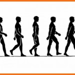 Walking is sensible exercise Walking is sensible exercise