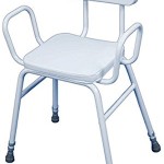 Perching Stool with Arm Rests and Padded Back Perching Stool with Arm Rests and Padded Back