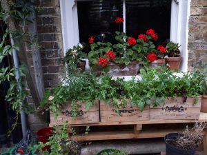 I have discovered sitting-down gardening