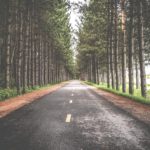 My long journey with multiple sclerosis My long journey with multiple sclerosis