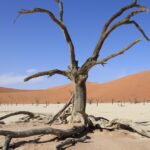 living with multiple sclerosis is a challenge